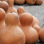 Selection of Bottle Gourds @FanningSparks