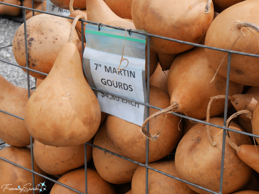 Selection of Martin Gourds   @FanningSparks