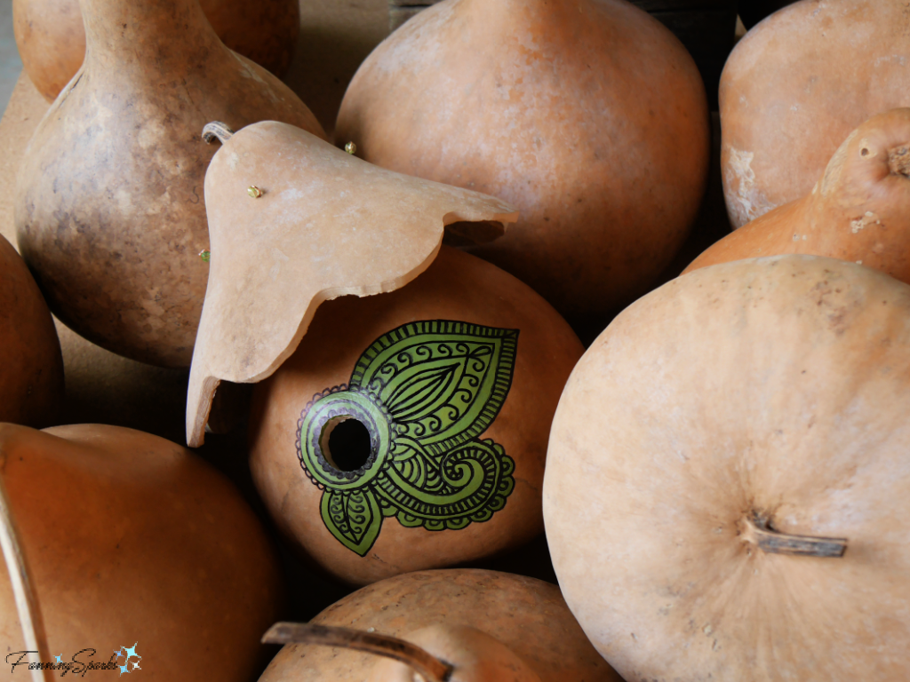 Chickadee Gourd Nest Box Amongst Gourds   @FanningSparks