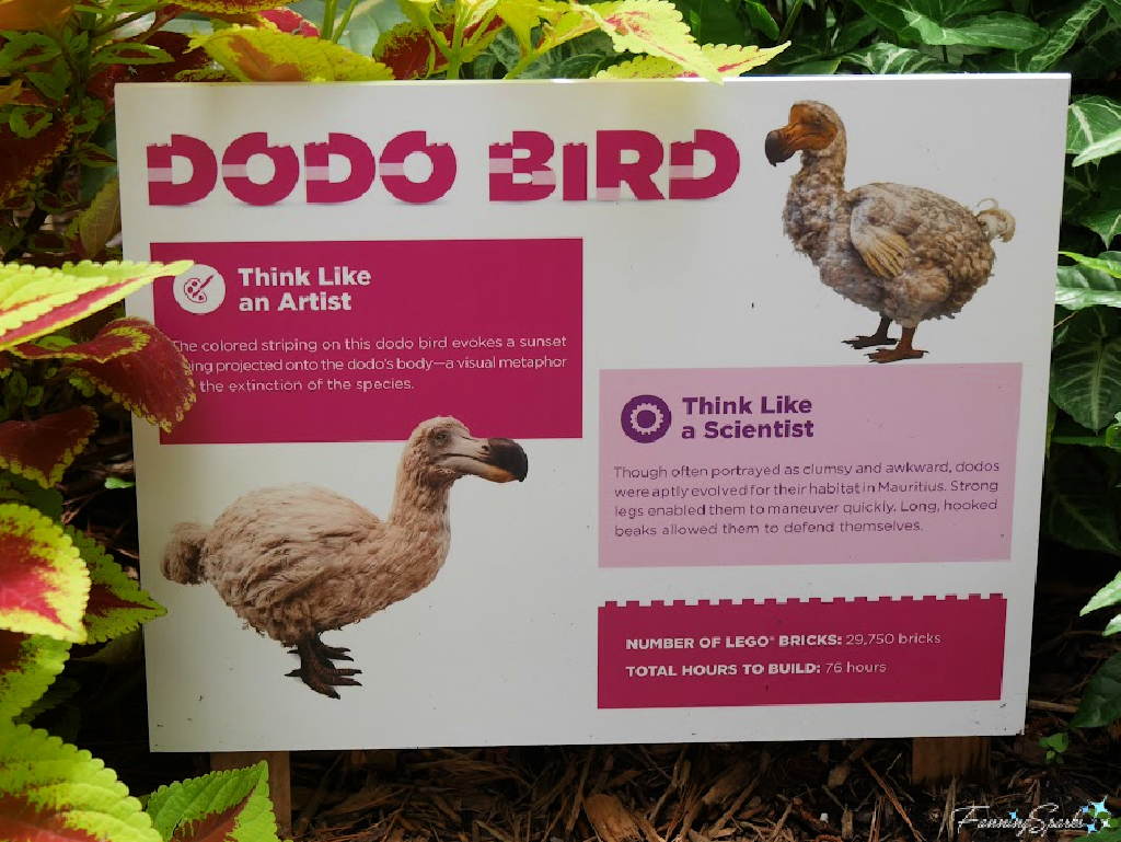 Nature POP Exhibit Sign for Dodo Bird   @FanningSparks