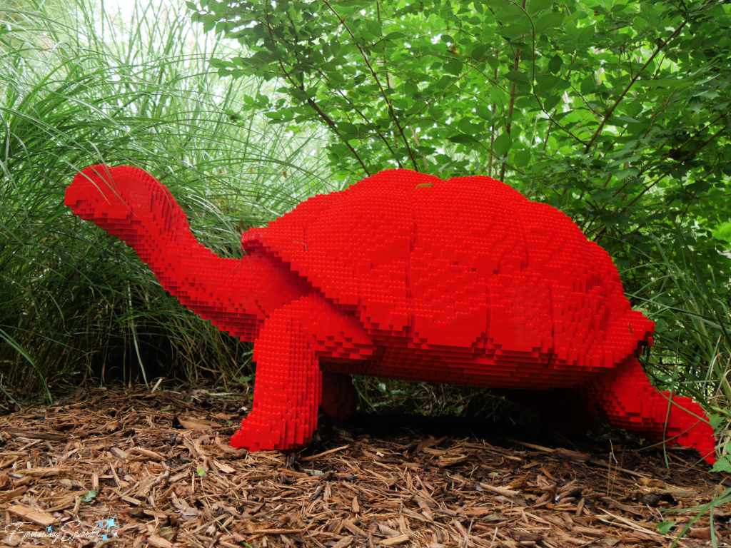 Galápogos Tortoise of LEGO Bricks by Sean Kenney   @FanningSparks