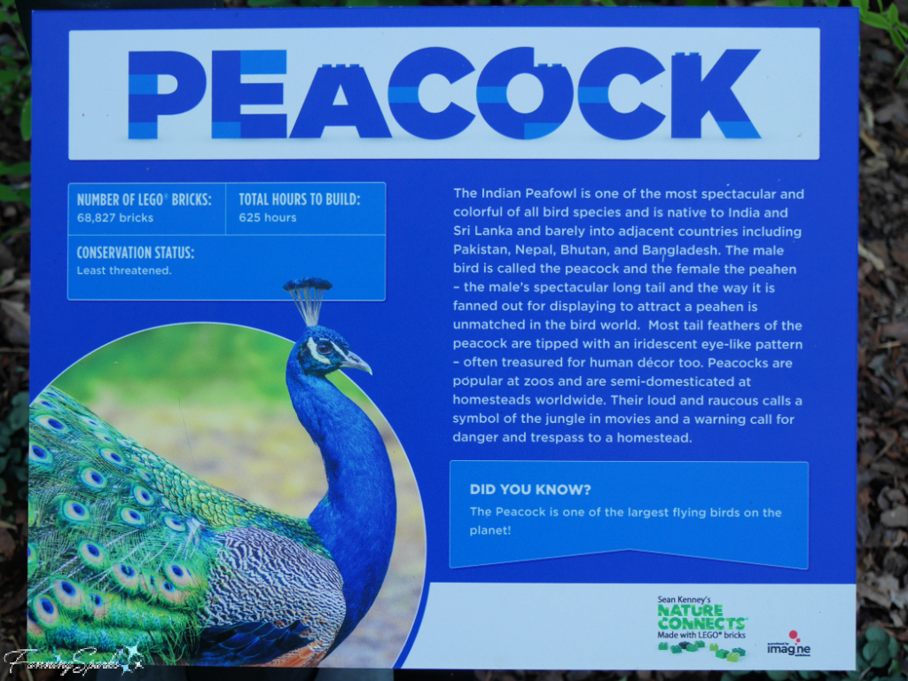 Nature Connects Exhibit Sign for Peacock   @FanningSparks