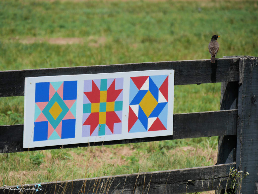 Triple Quilt Squares with Robin – Berea College Farm Kentucky   @FanningSparks