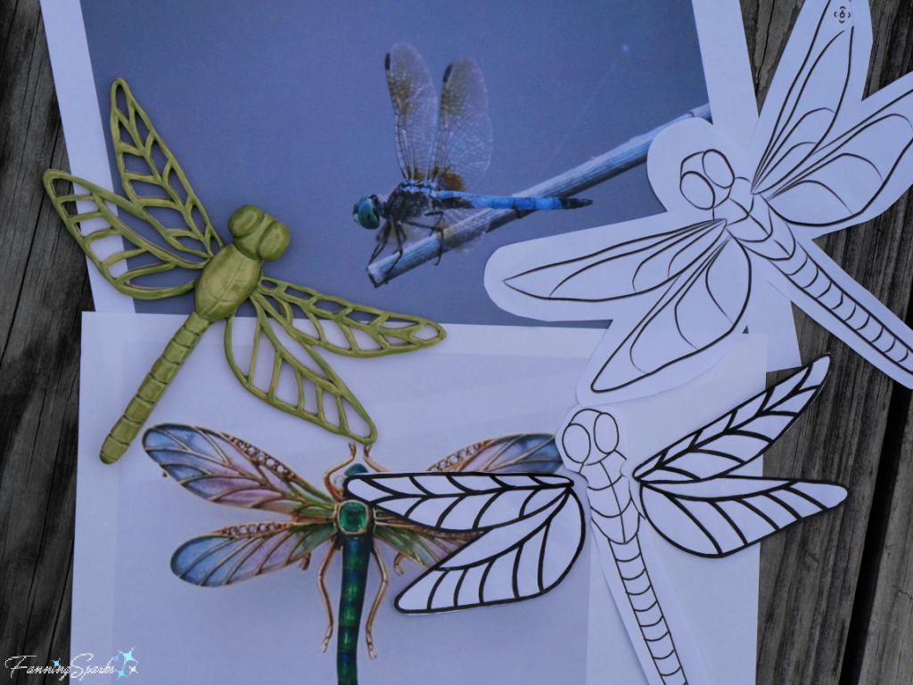 Dragonfly Photos and Template   @FanningSparks