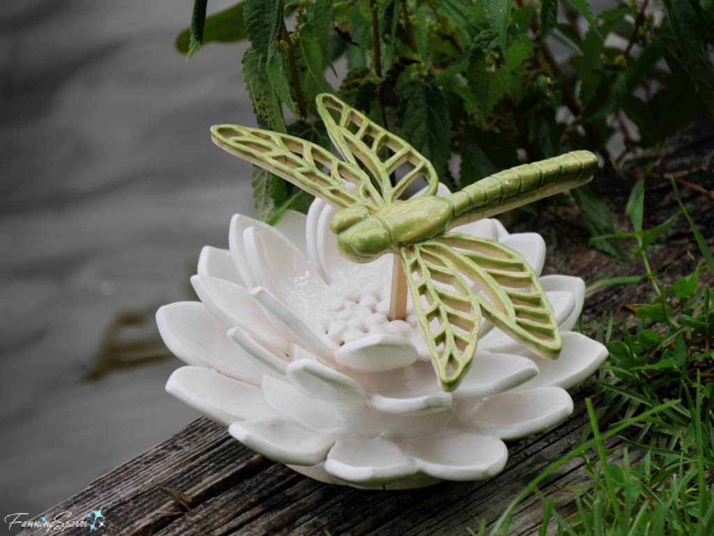 My Ceramic Waterlily with Dragonfly at Waters Edge  @FanningSparks 