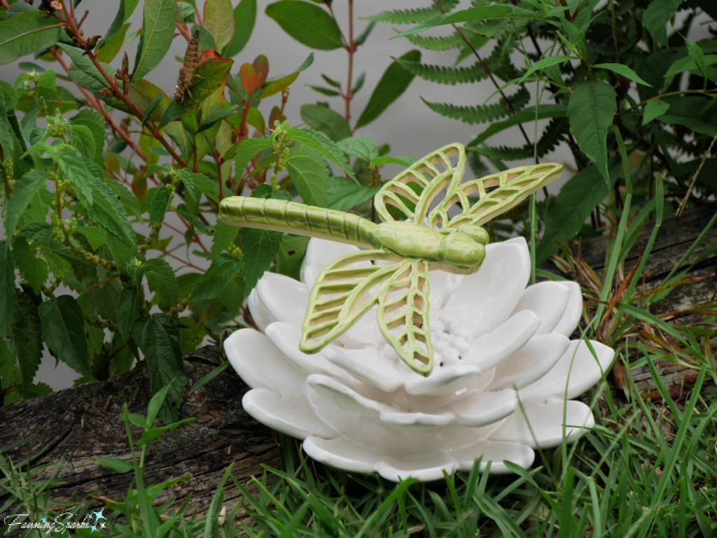 My Ceramic Waterlily with Dragonfly   @FanningSparks