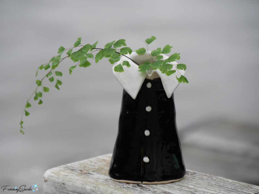 Shirt Collar Vase with Ferns   @FanningSparks