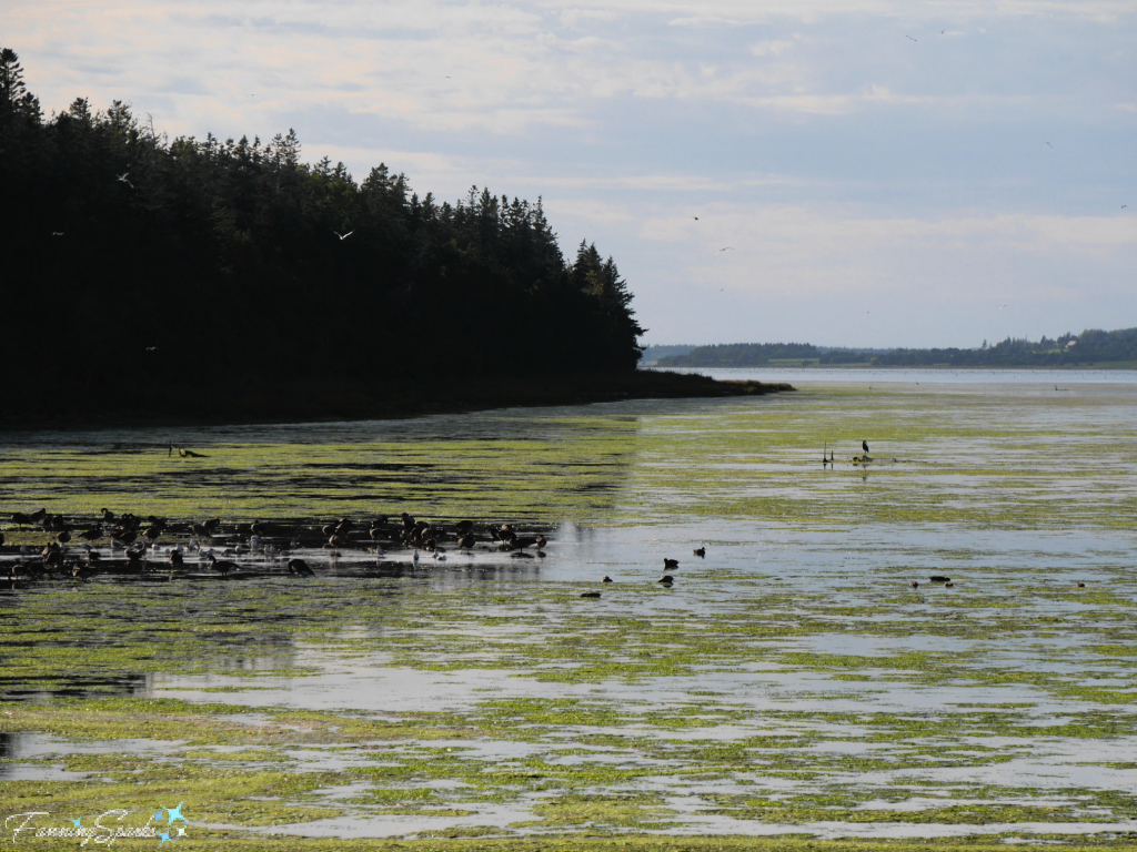 Coastal View on Approach to St Peters PEI   @FanningSparks