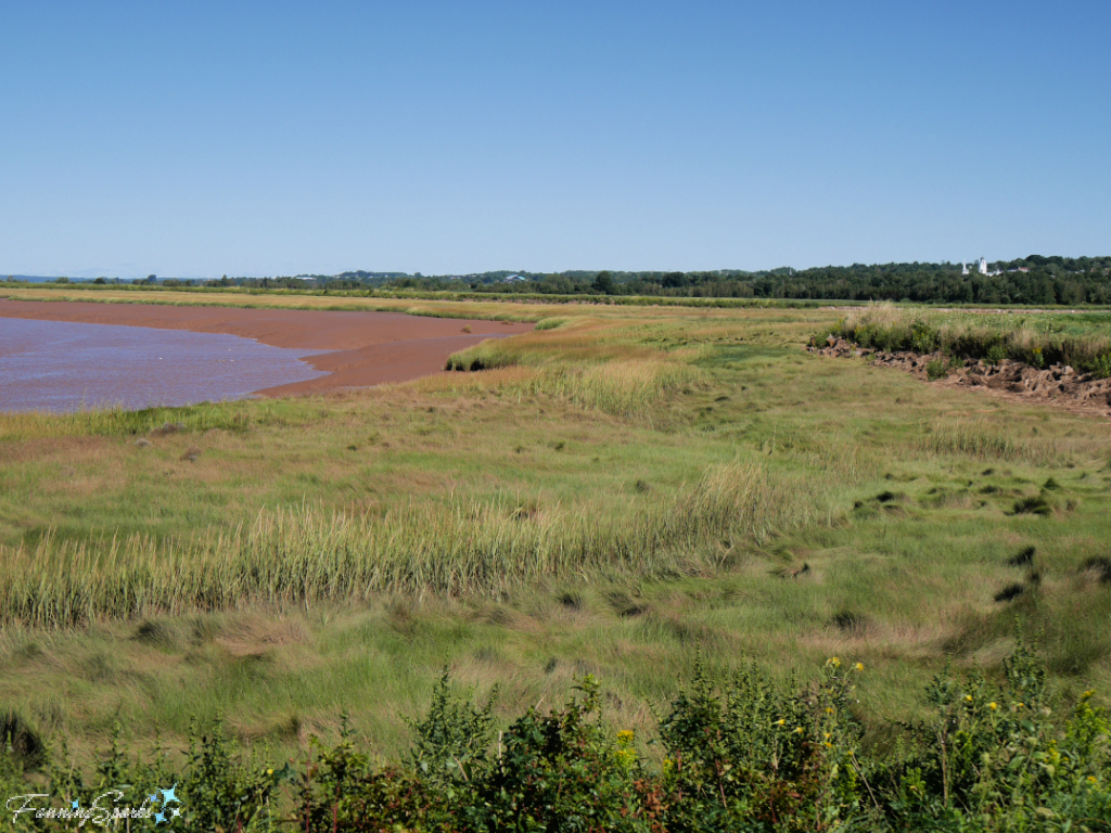 Dykes and Marsh Grass Near Port Williams   @FanningSparks