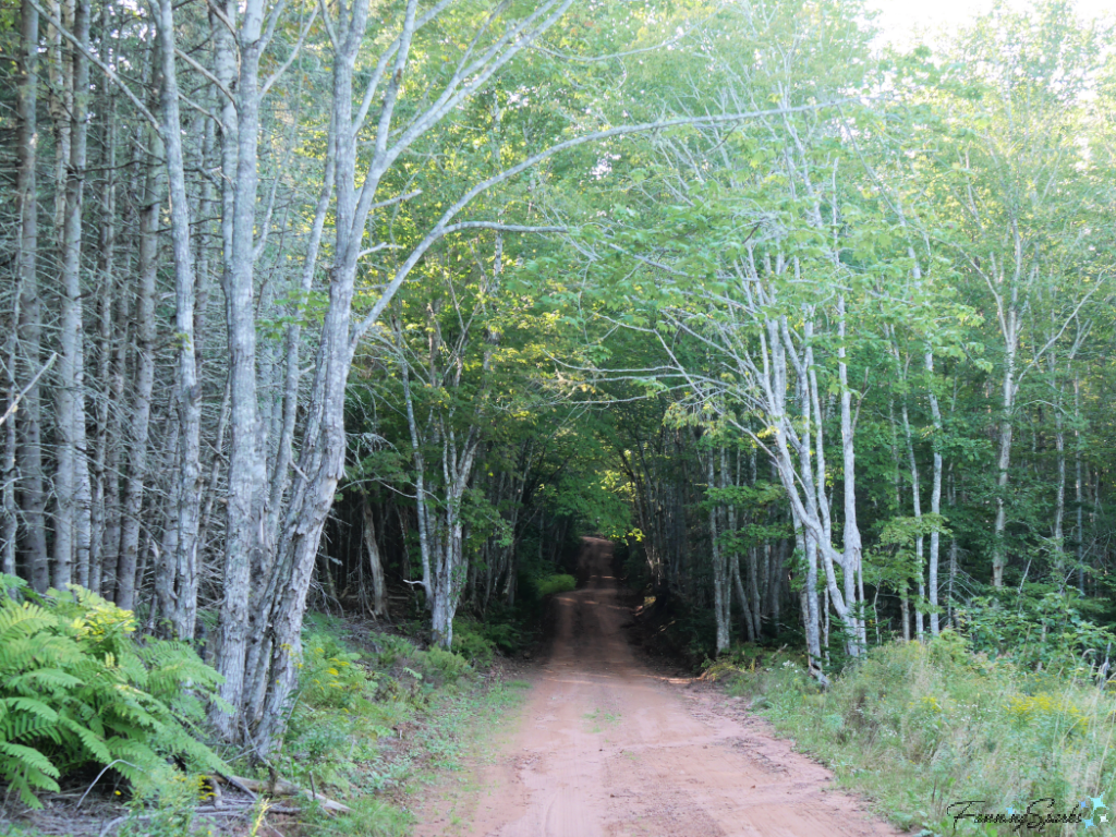 Ferguson Road - Red Dirt Road Near Victoria PEI   @FanningSparks