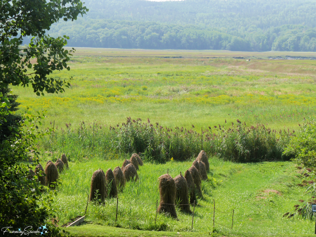 View of Meadows at Annapolis Royal Historic Gardens   @FanningSparks