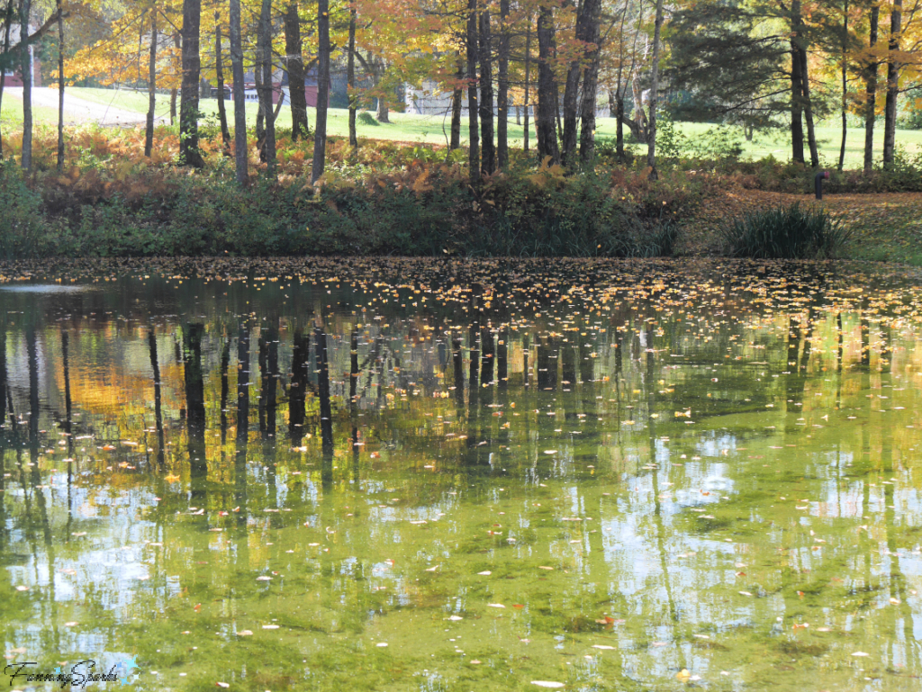 Fall Colors Reflected in Farm Pond   @FanningSparks