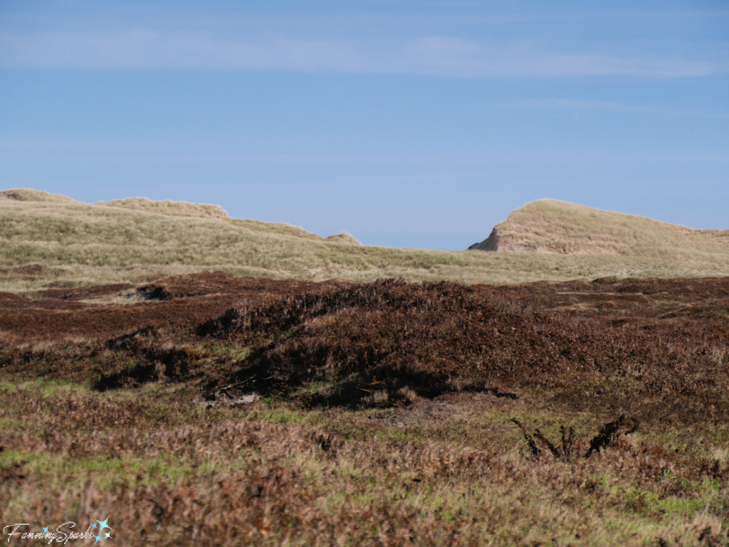 Landscape of Sable Island’s Interior   @FanningSparks