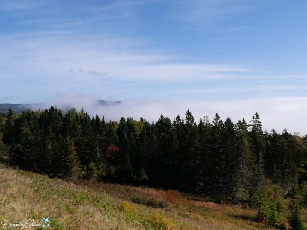 View from Butland Lookout at Fundy National Park   @FanningSparks