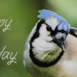 Happy Holiday Season 2022 @FanningSparks