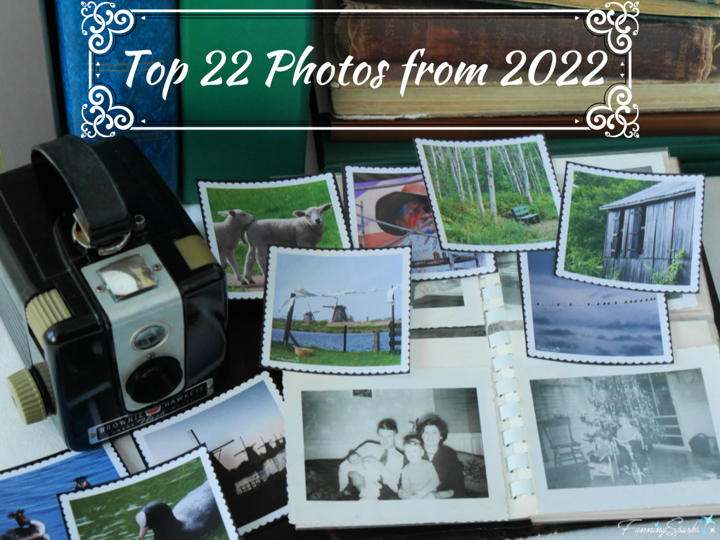 Top 22 Photos from 2022 with Kodak Brownie Hawkeye   @FanningSparks