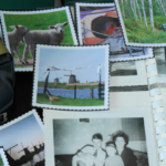 Top 22 Photos from 2022 with Kodak Brownie Hawkeye @FanningSparks