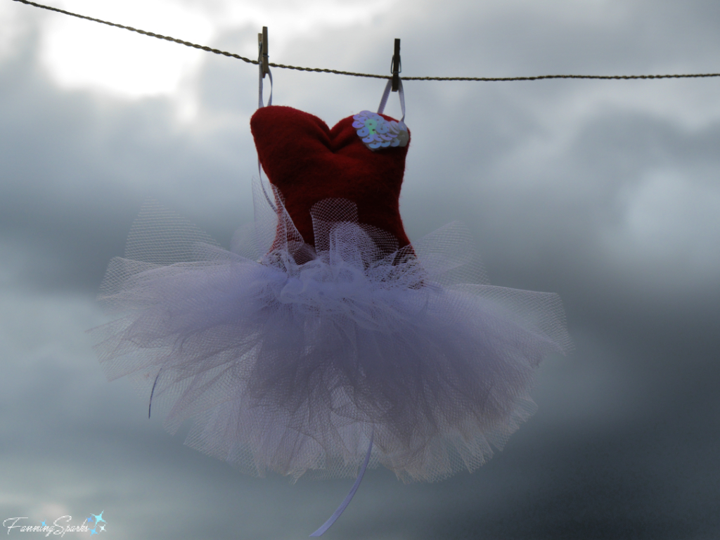 Froufrou Sachet on Clothesline with Cloudy Sky   @FanningSparks