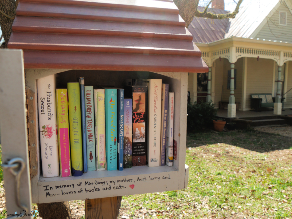 Open Little Free Library at Poplar St Madison Georgia   @FanningSparks