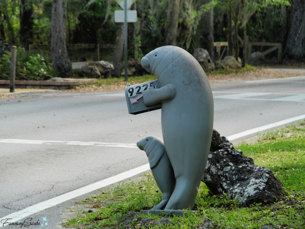 Manatee Mailbox at Ellie Schiller Homosassa Springs Wildlife State Park