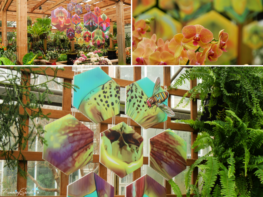 Mixed Media Installation by Lara Nguyen at Atlanta Botanical Garden Orchid Daze    @FanningSparks