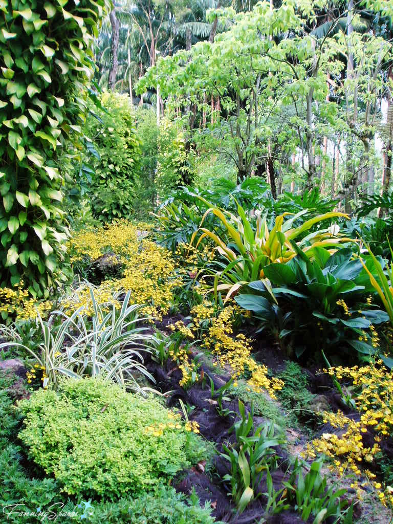 Orchidscape at National Orchid Garden in Singapore   @FanningSparks