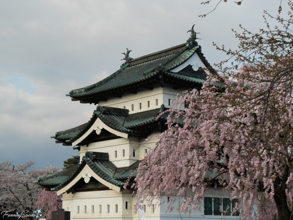 Cherry Blossoms with Hirosaki Castle Japan   @FanningSparks