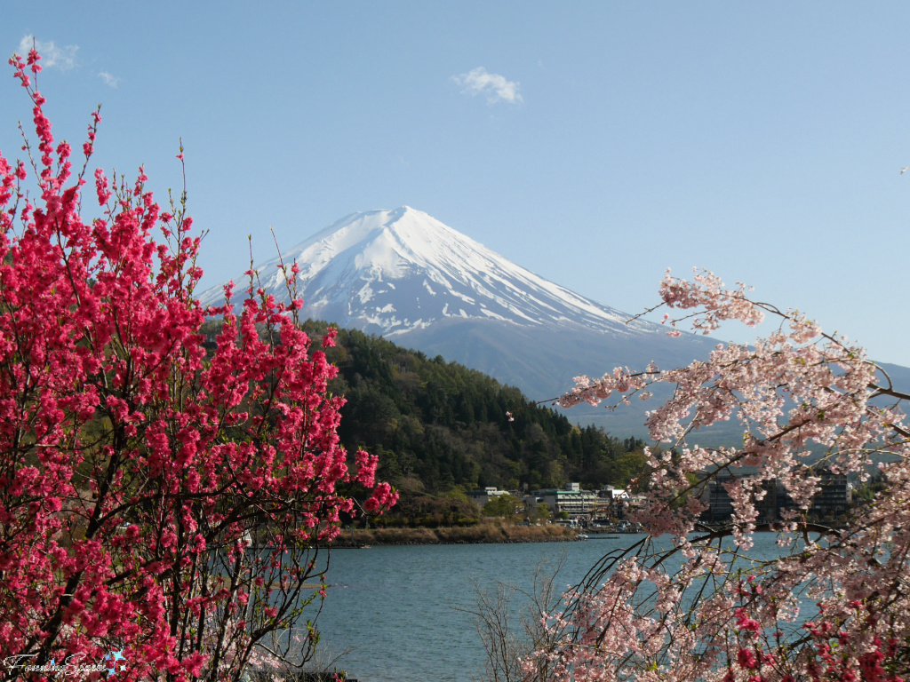 Mount Fuji from Lake Kawaguchiko  @FanningSparks