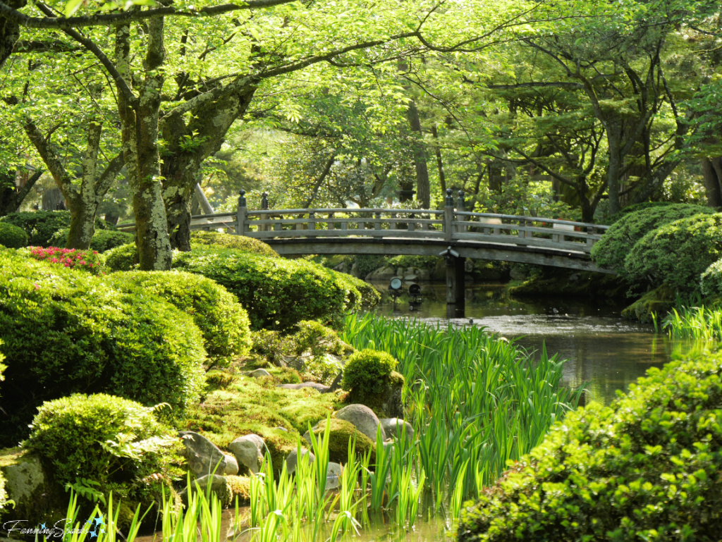 Hanamibashi Bridge at Kenrokuen Gardens in Kanazawa Japan   @FanningSparks