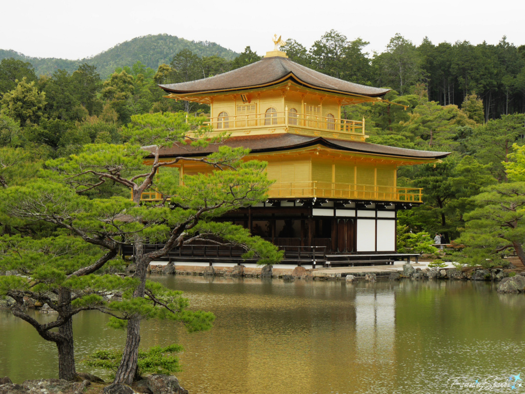 Kinkaku-ji Temple Golden Pavilion in Kyoto Japan   @FanningSparks