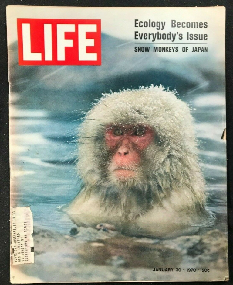 LIFE Magazine Cover - Jan 30 1970 – Photo by Co Rentmeester