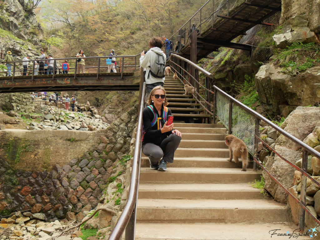 Marian on Steps with Monkeys at Jigokudani Yaen-Koen in Japan   @FanningSparks