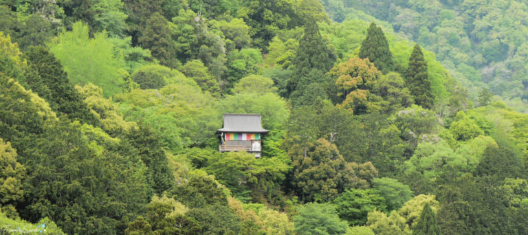 Small Temple Viewed from Kameyama-Koen Park at Arashiyama Bamboo Forest @FanningSparks