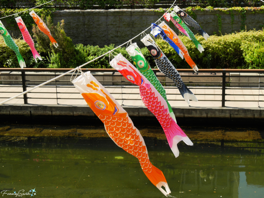 String of Carp Streamers Near Oshinari-hashi Bridge in Tokyo Japan   @FanningSparks