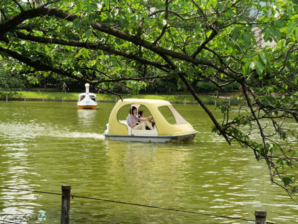 Boating on Shinobazu Pond in Ueno Park in Tokyo   @FanningSparks