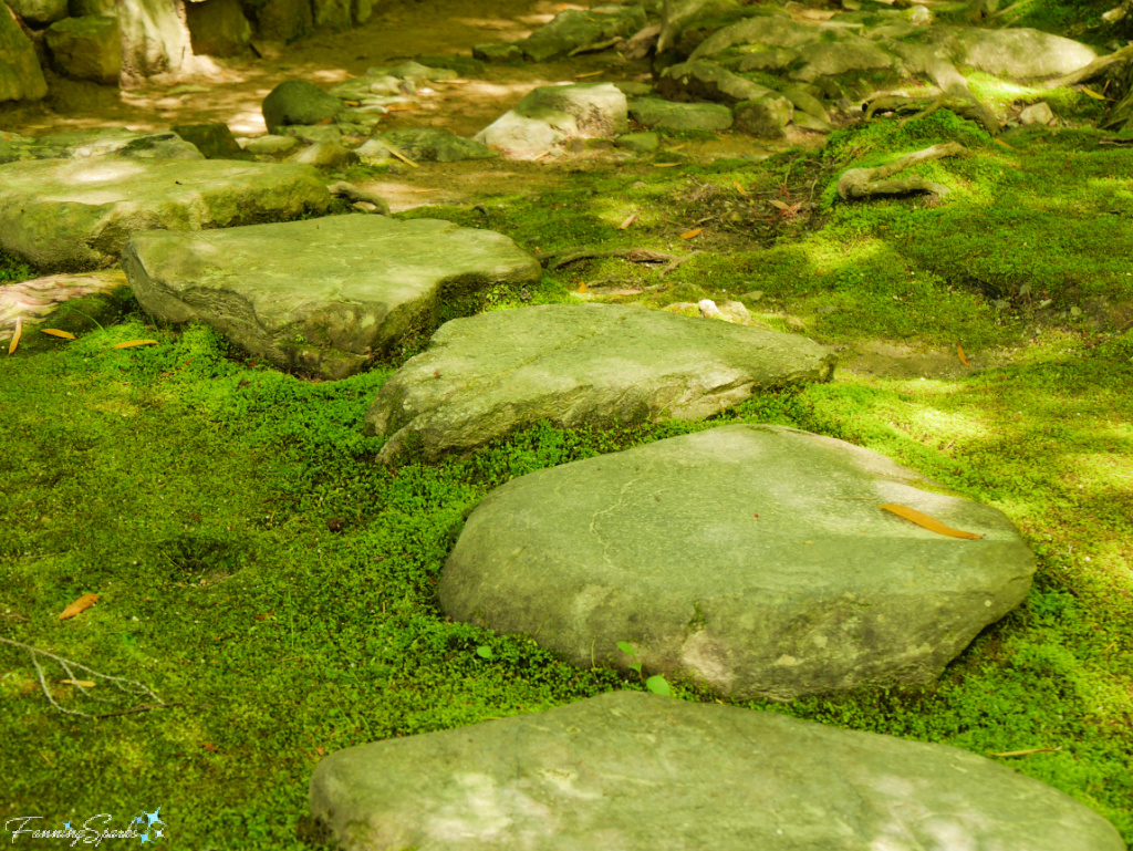 Moss Around Stones at Ginkaku-ji Temple Garden in Kyoto Japan     @FanningSparks