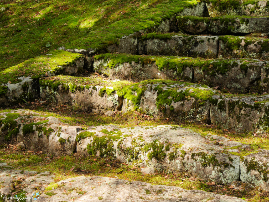 Mossy Stone Steps at Iwakiyama Shrine in Hyakuzawa Japan     @FanningSparks