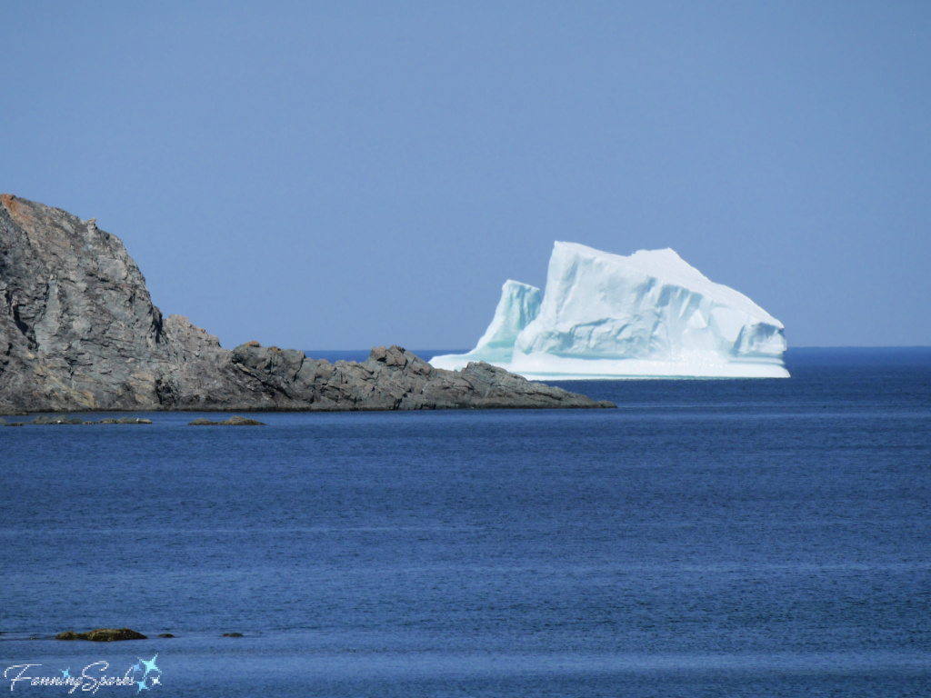 Iceberg in Twillingate Harbour Newfoundland @FanningSparks