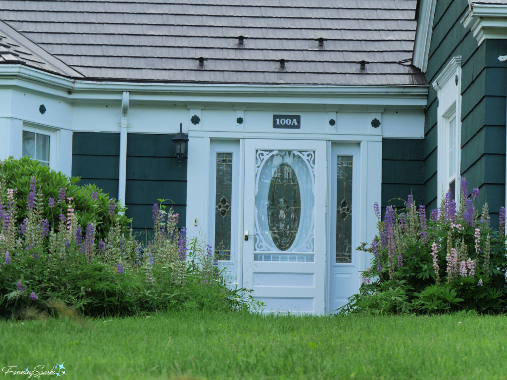 Lupines in Flower Gardens Viewed from Street in Charlottetown, Prince Edward Island      @FanningSparks