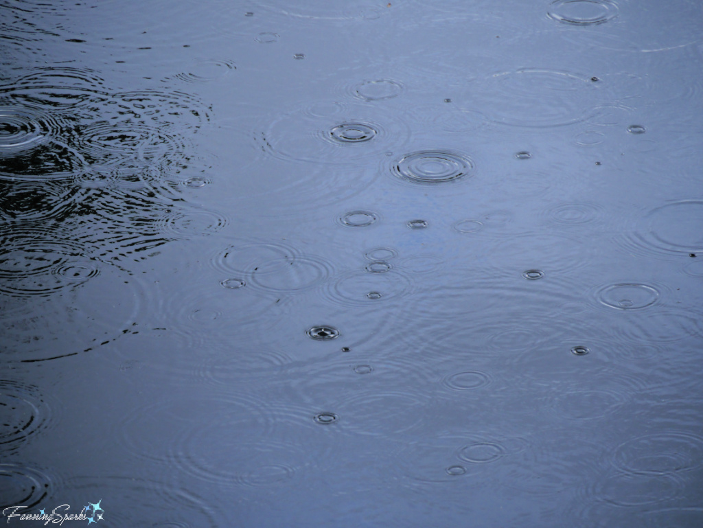 Raindrops on Water’s Surface   @FanningSparks