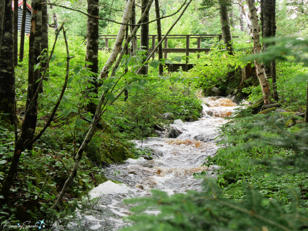 Rushing Water After the Rain in Liscombe Nova Scotia   @FanningSparks