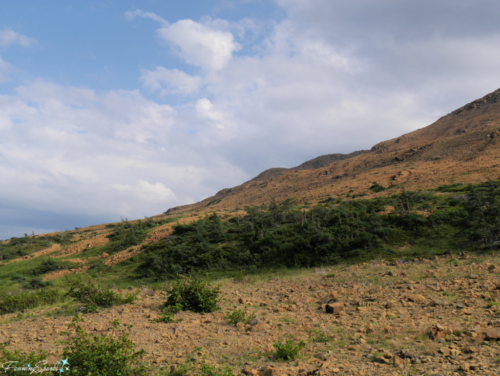 Tablelands in Gros Morne National Park Newfoundland   @FanningSparks