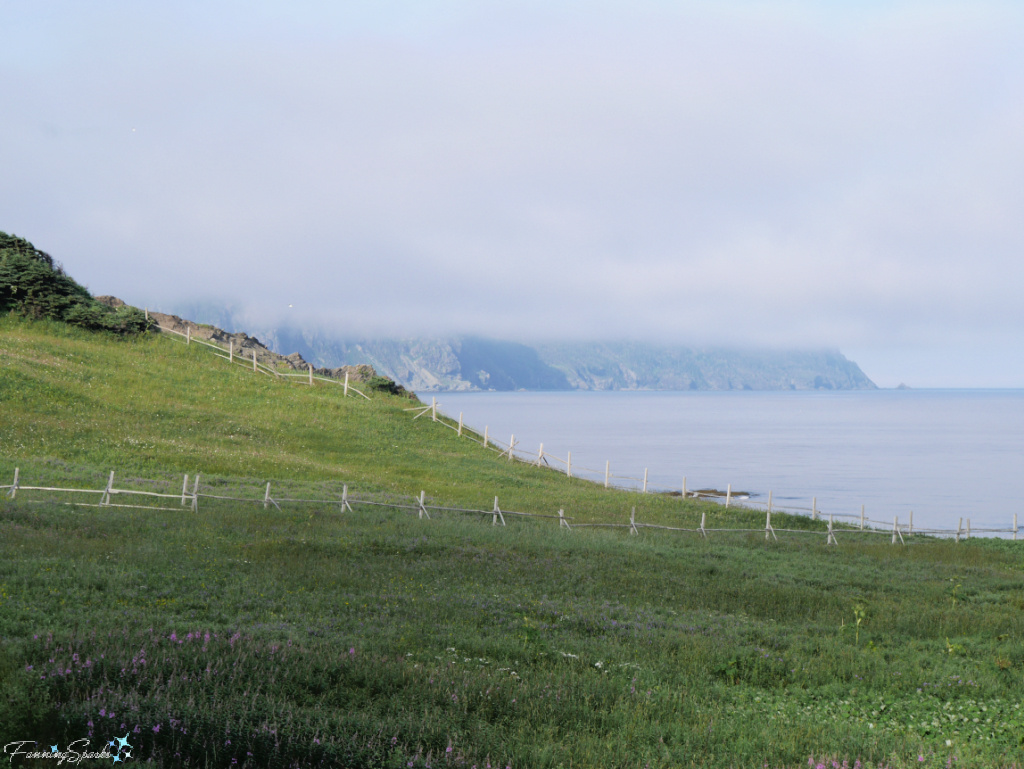 View of Rocky Harbour Cove in Newfoundland   @FanningSparks