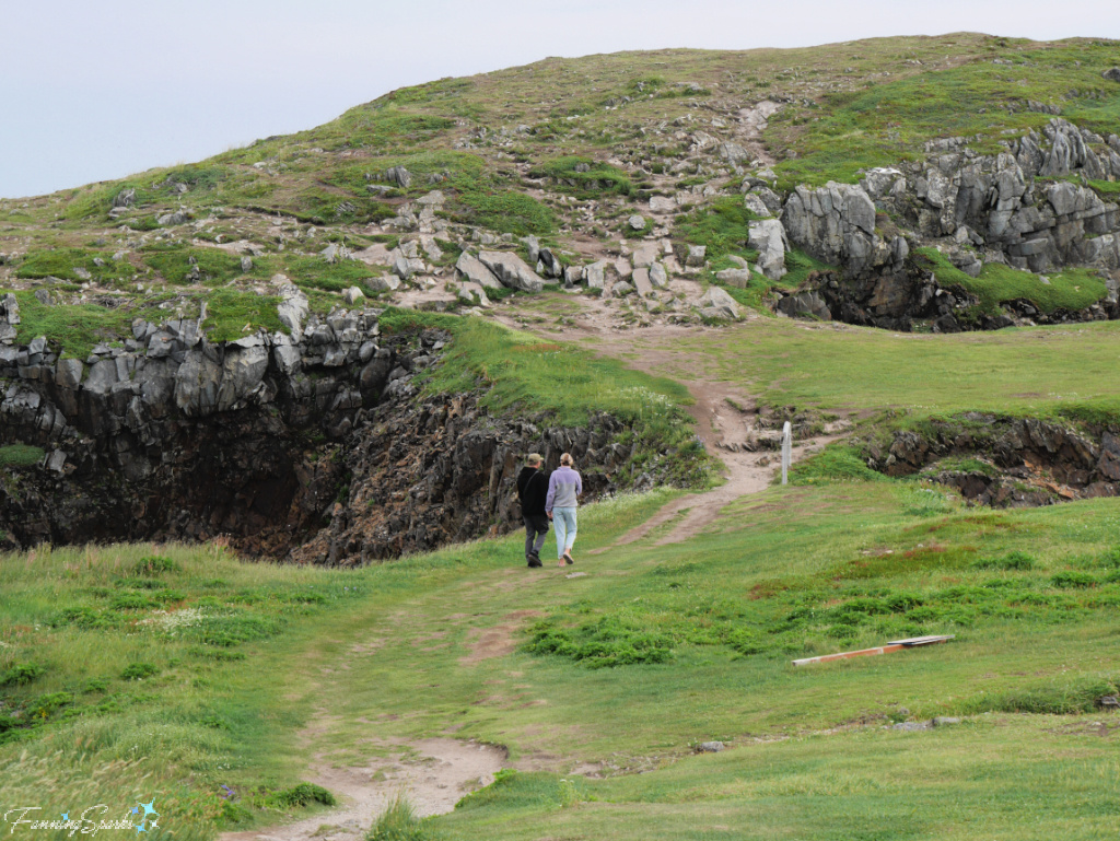 Walking to Elliston Puffin Viewing Site @FanningSparks