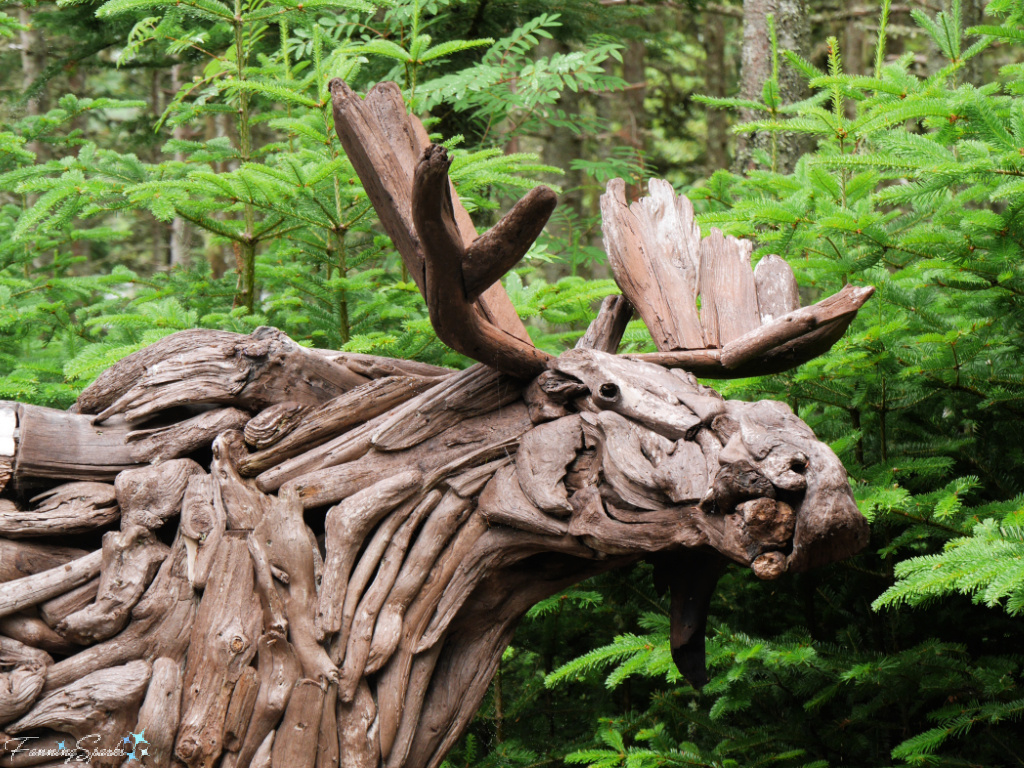 Closeup of Driftwood Sculpture of Moose at Memorial University Botanical Garden in St. John’s   @FanningSparks