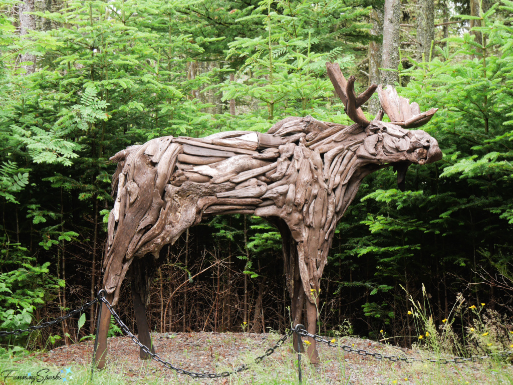 Driftwood Sculpture of Moose at Memorial University Botanical Garden in St. John’s   @FanningSparks