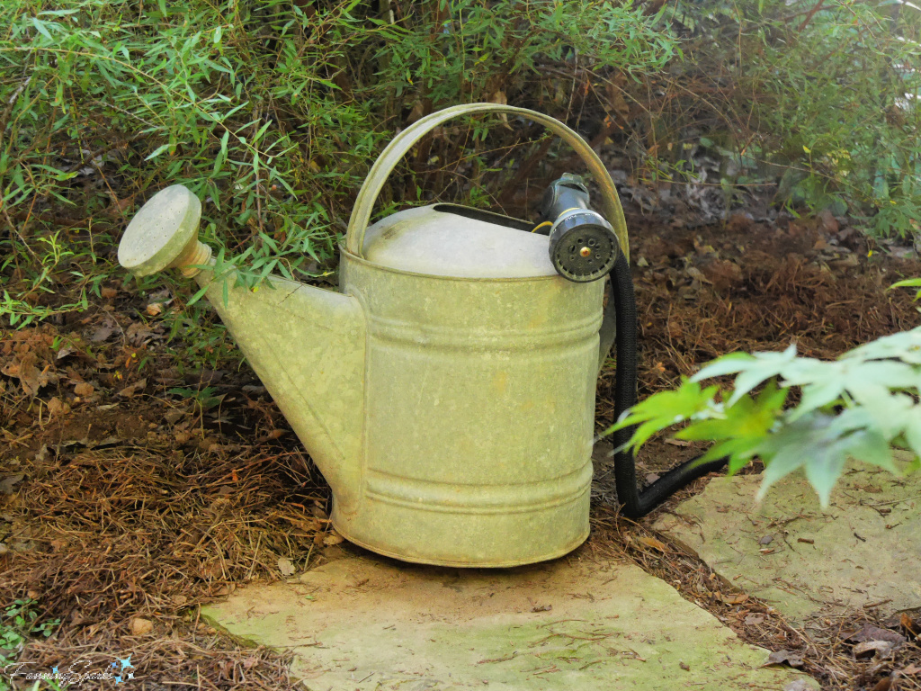 Expandable Garden Hose in Watering Can   @FanningSparks