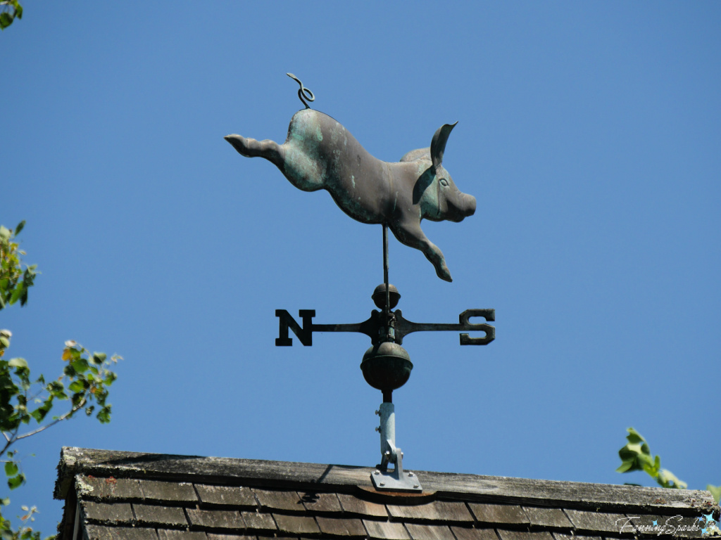 Flying Pig Weather Vane at Coastal Maine Botanical Gardens in Boothbay Harbor   @FanningSparks