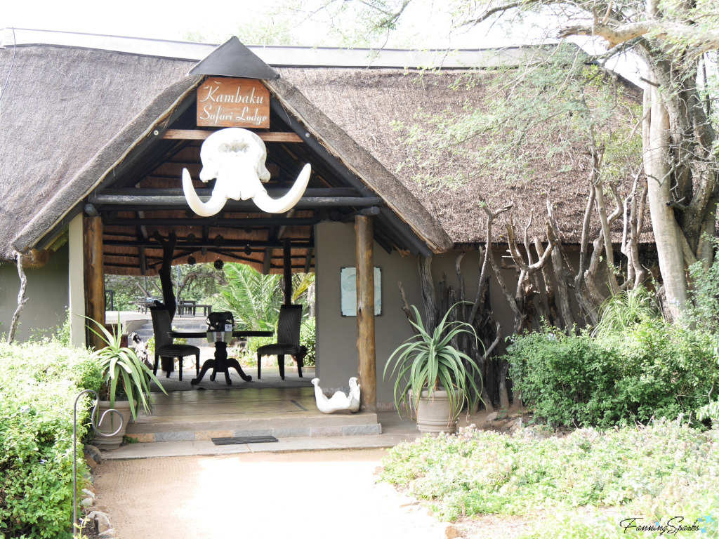 Kambaku Safari Lodge in Kruger National Park South Africa   @FanningSparks