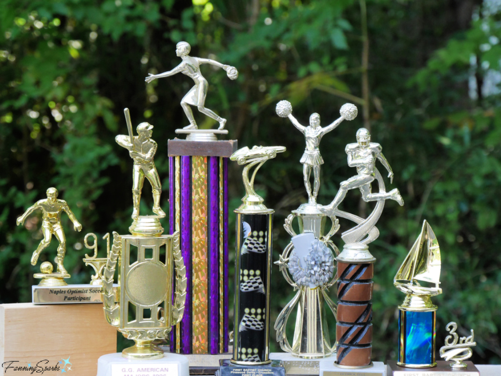 Selection of Thrifted Trophies   @FanningSparks   @FanningSparks